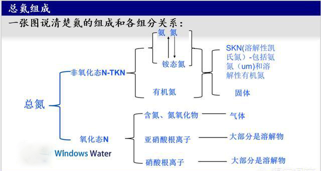 廢水中總氮組成